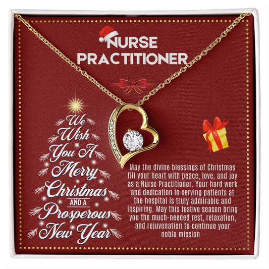 JGF Jewelry Gifts for Family | Nurse Practitioner Gifts for Women on Christmas