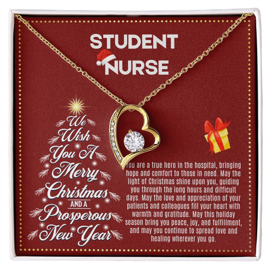 JGF Jewelry Gifts for Family | Student Nurse Gifts for Christmas