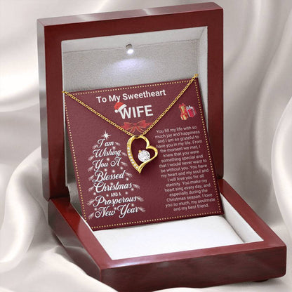 JGF Jewelry Gifts for Family Christmas Message Card For Wife Heart Shaped Necklaces For Women