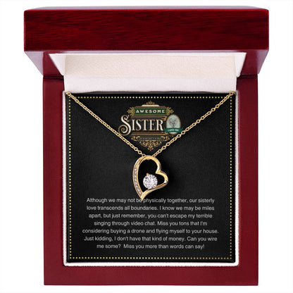 JGF Jewelry Gifts for Family | You are Awesome Gifts for Women Simple Gift Basket Item for Sister |Cubic Zirconia Heart Necklace