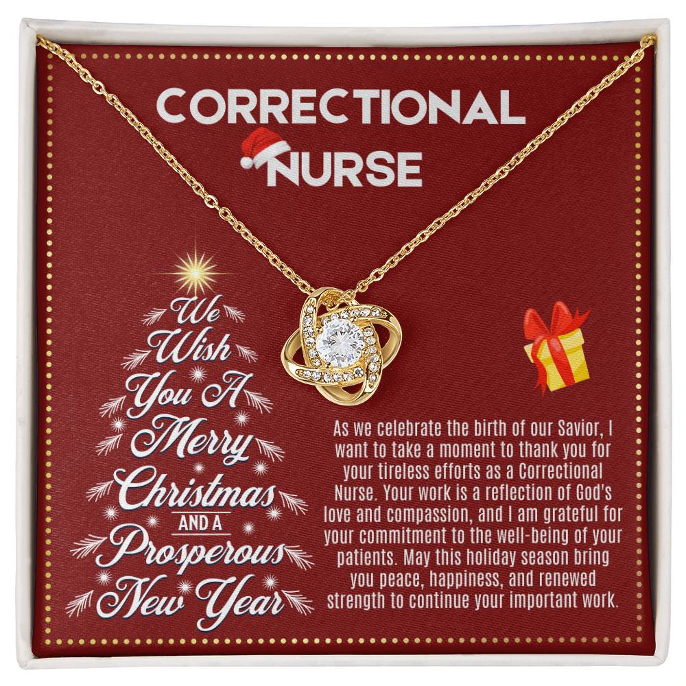 JGF Jewelry Gifts for Family | Correctional Nurse Gifts for Christmas
