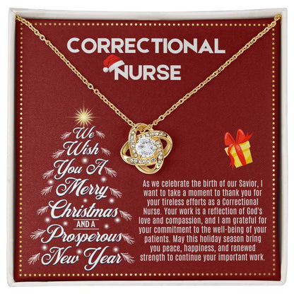 JGF Jewelry Gifts for Family | Correctional Nurse Gifts for Christmas