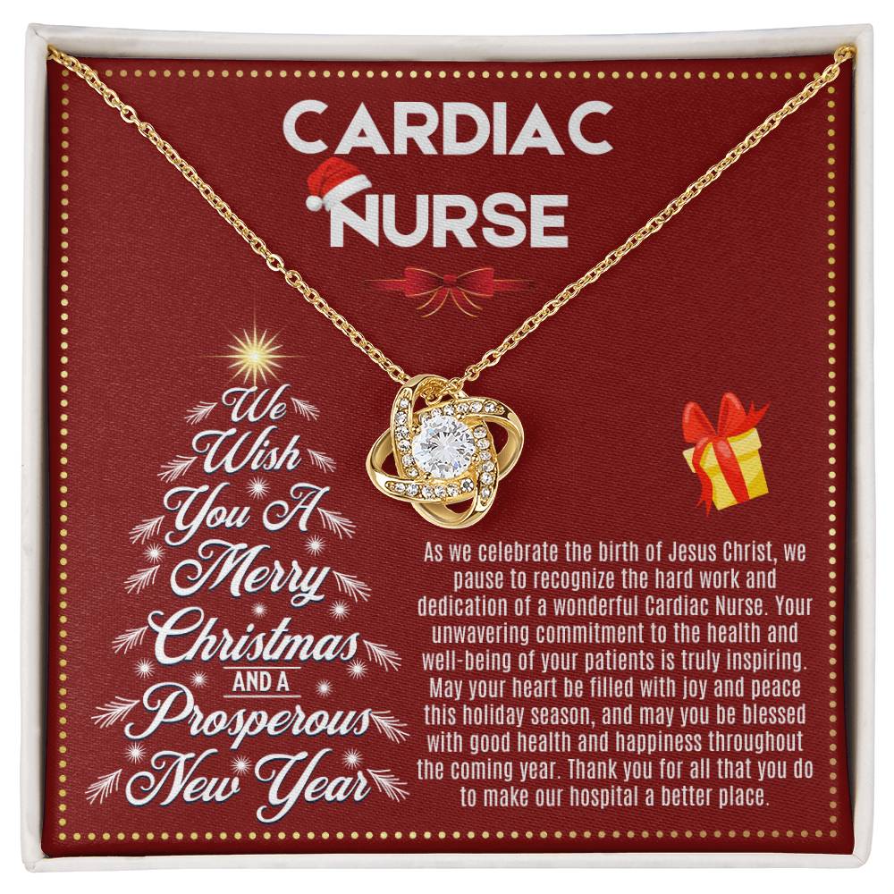 JGF Jewelry Gifts for Family | Christmas Registered Nurse RN Cardiac Practitioner Gifts for Women