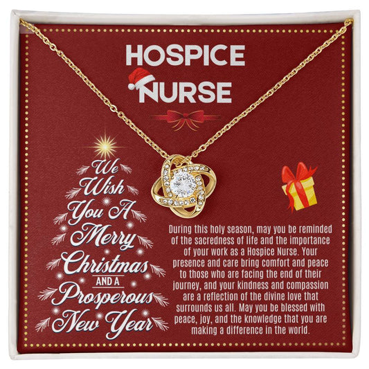 JGF Jewelry Gifts for Family | Christmas Registered Nurse RN Hospice Practitioner Nurse Gifts for Women