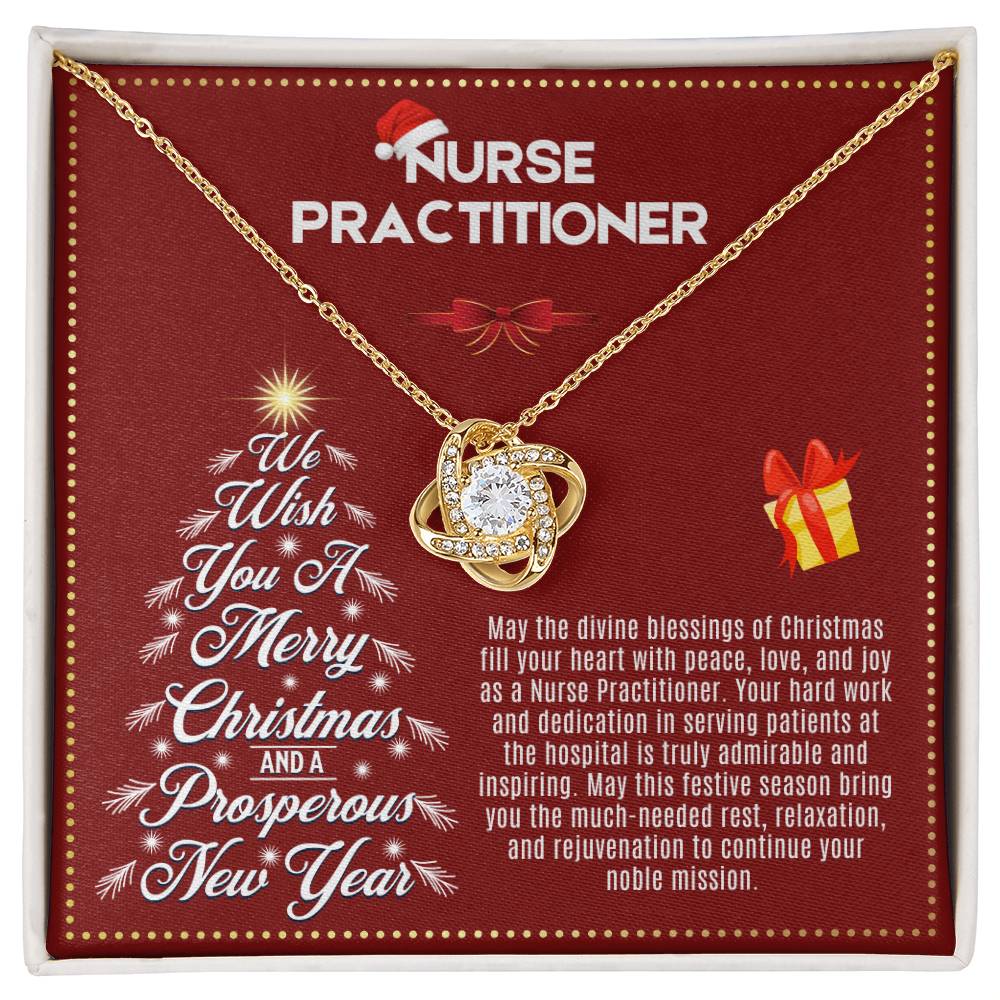 JGF Jewelry Gifts for Family | Nurse Practitioner Gifts for Christmas