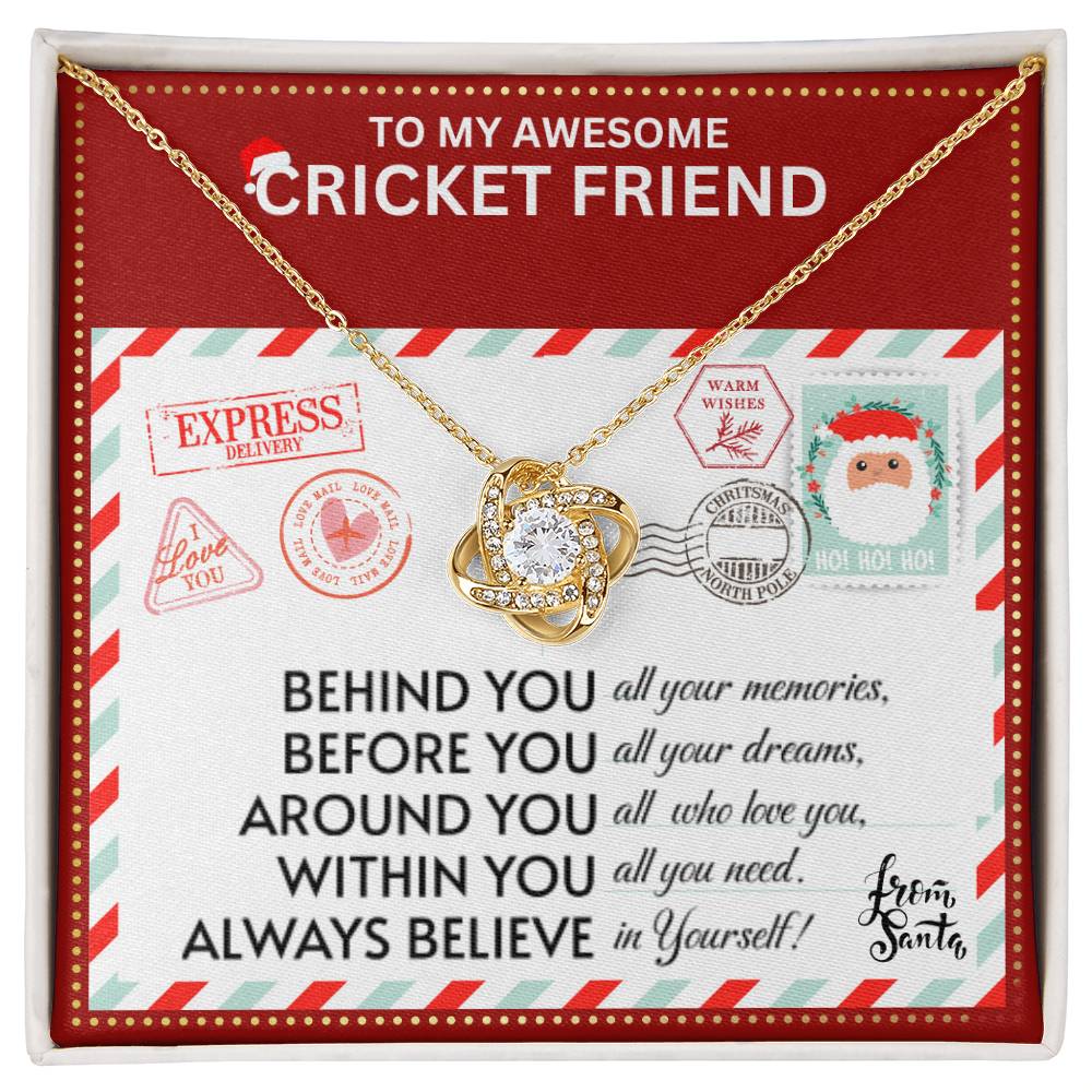 JGF Jewelry Gifts for Family Necklace Gift For Cricket Female Bestie BFF Friend Long Distance
