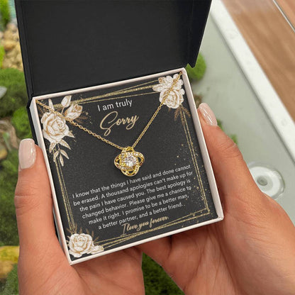 Sorry-Cannot Be Erased