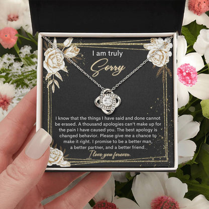 Sorry-Cannot Be Erased