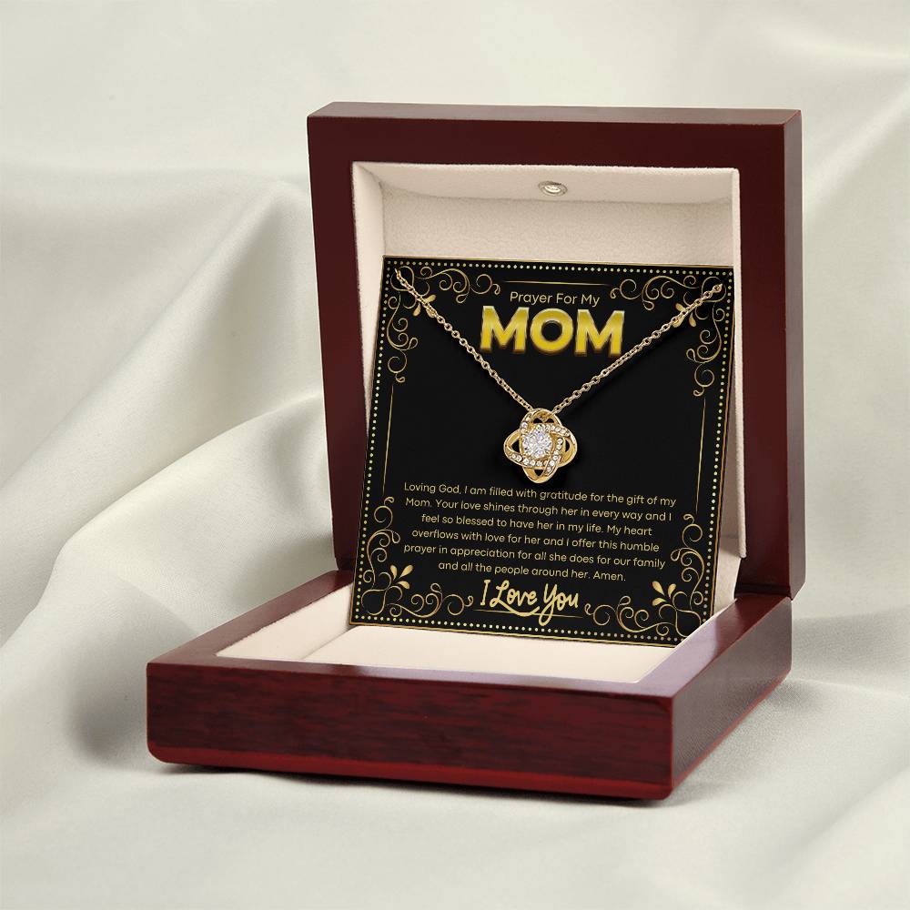 JGF Jewelry Gifts for Family Mom Birthday Gifts From Son And Daughter In Law