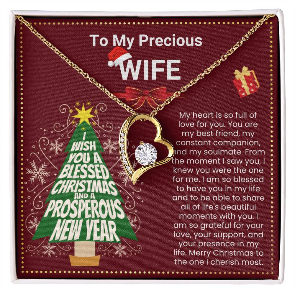 JGF Jewelry Gifts for Family Christmas Message Card For Wife Dainty Silver Heart Necklace For Women