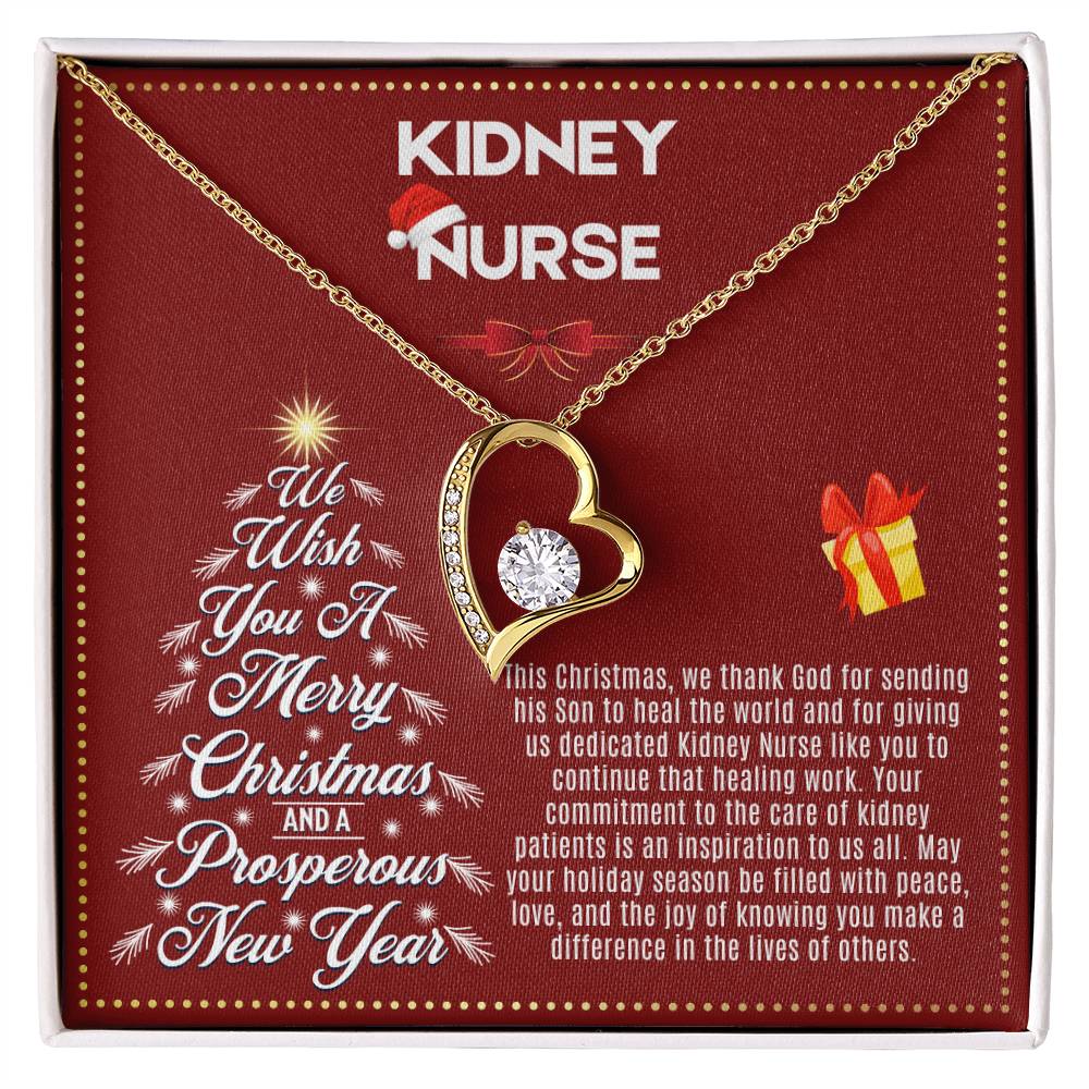 JGF Jewelry Gifts for Family | Kidney Nurse Gifts for Christmas