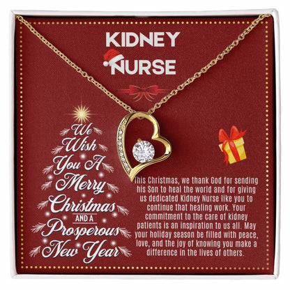 JGF Jewelry Gifts for Family | Kidney Nurse Gifts for Christmas