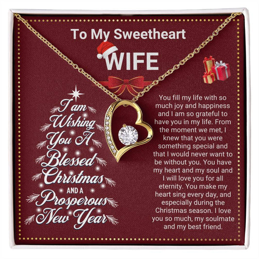 JGF Jewelry Gifts for Family Christmas Message Card For Wife Heart Shaped Necklaces For Women