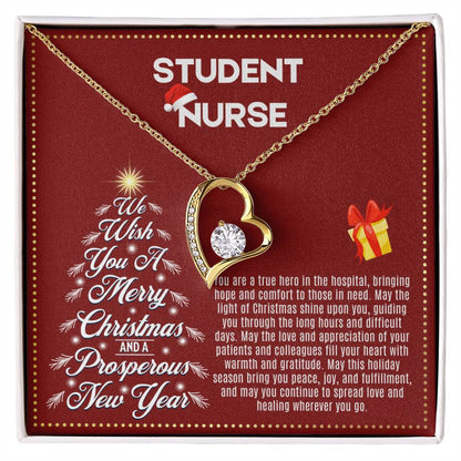 JGF Jewelry Gifts for Family | Student Nurse Gifts for Christmas
