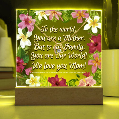 JGF Jewelry Gifts for Family Acrylic Plaque and Heart Necklace for My Mom Unique Gift Ideas