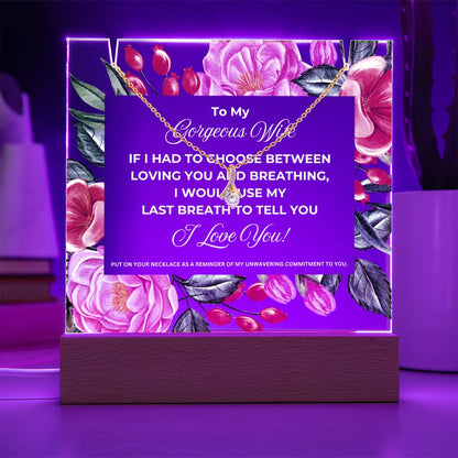 JGF Jewelry Gifts For Family To My Wife Plaque Necklace and Acrylic Bundle