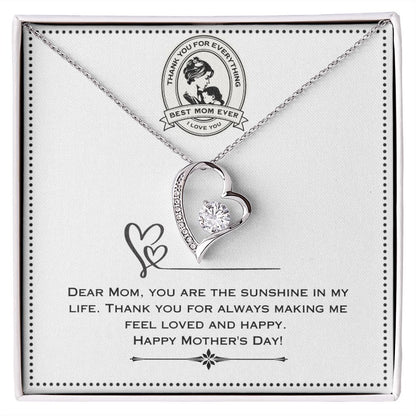 JGF Jewelry Gifts for Family - Mother's Day Gift Basket Stuffer | One Heart Shaped Necklace for Women Who Has Everything