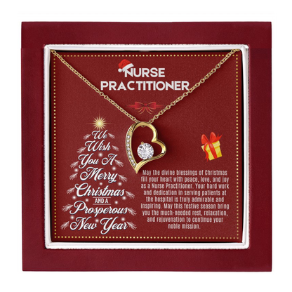 JGF Jewelry Gifts for Family | Nurse Practitioner Gifts for Women on Christmas