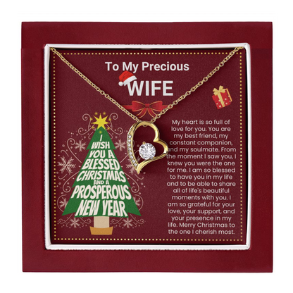 JGF Jewelry Gifts for Family Christmas Message Card For Wife Dainty Silver Heart Necklace For Women