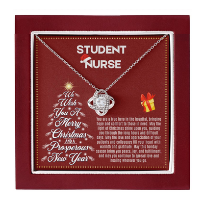 JGF Jewelry Gifts for Family | Student Nurse Gifts for Christmas